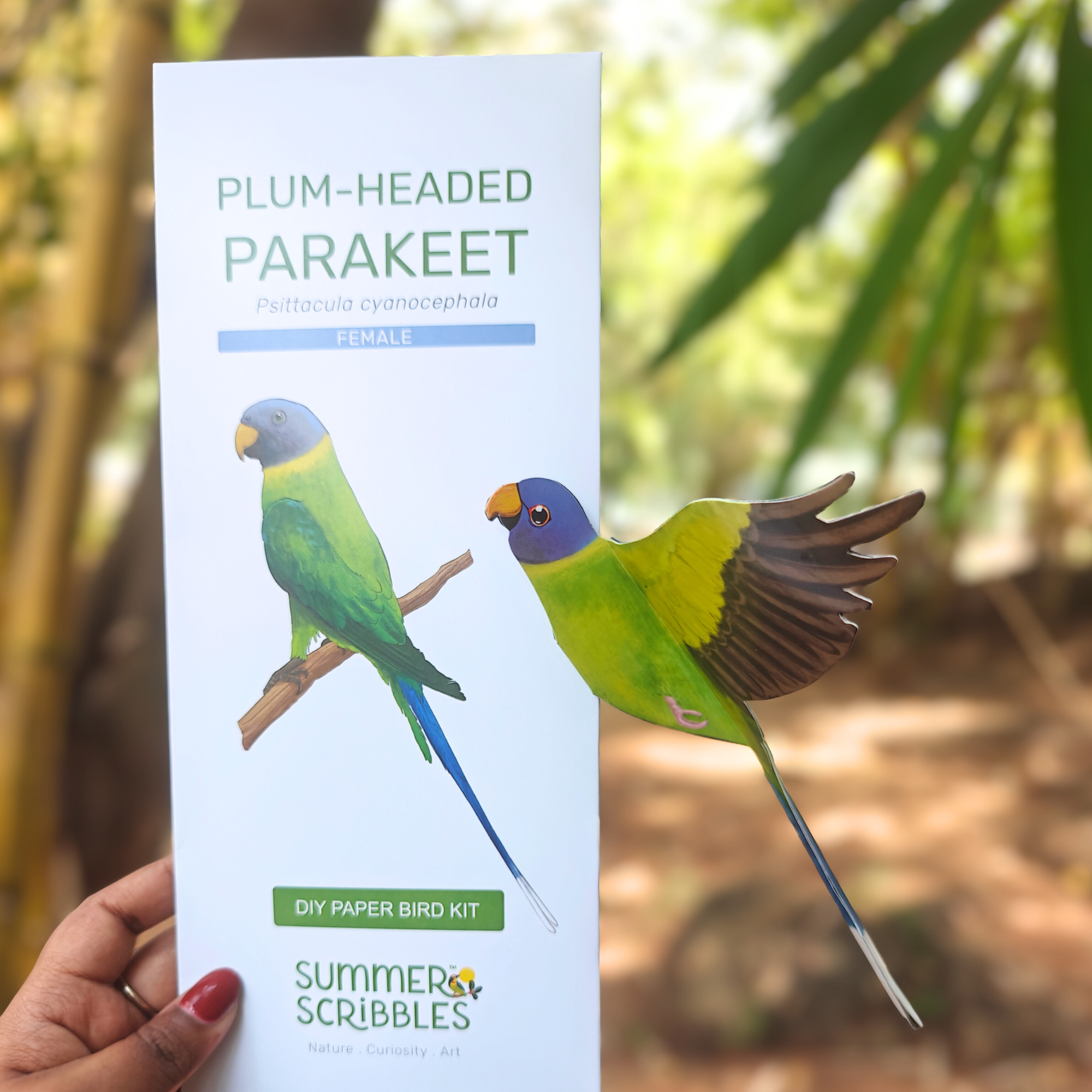 Plum-headed Parakeet — Paper Craft Kit (Set of 2)