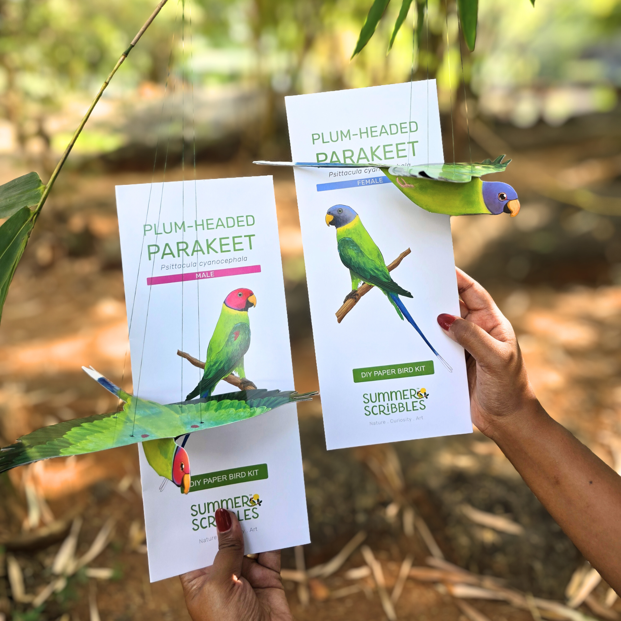 Plum-headed Parakeet — Paper Craft Kit (Set of 2)