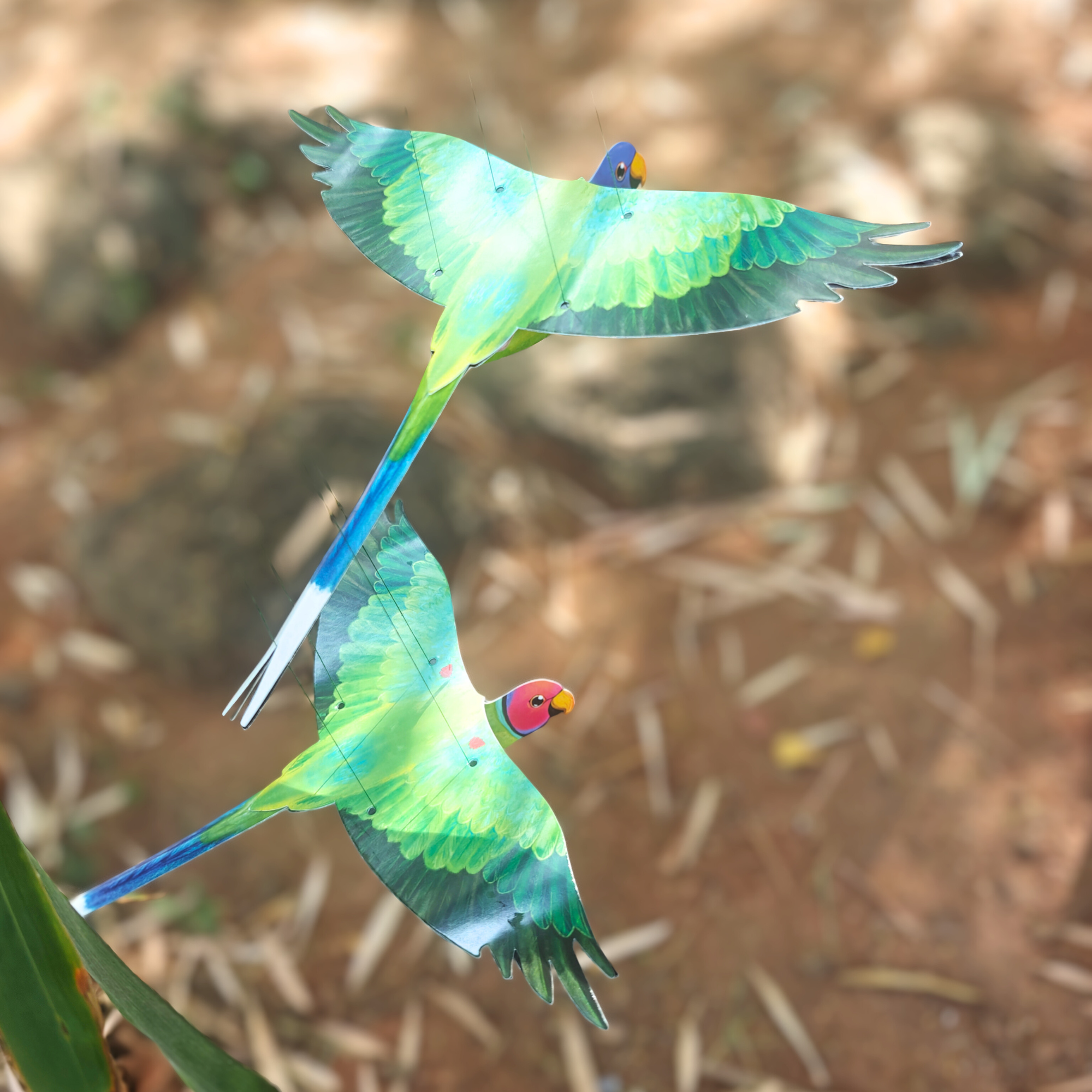 Plum-headed Parakeet — Paper Craft Kit (Set of 2)