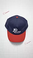 APOLLO PRO HEALTH DEEPX - MAY 2024