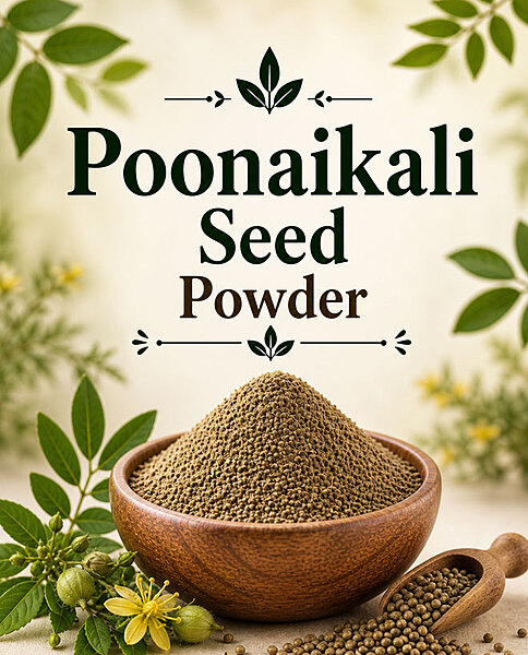 Poonaikali Seed Powder