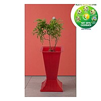 Popcorn Pot | 5.5 Inch Plastic Planter | Indoor & Balcony Planter