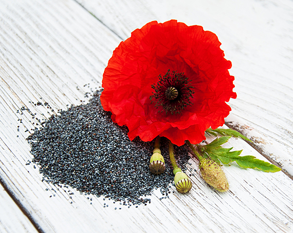 poppy Seeds