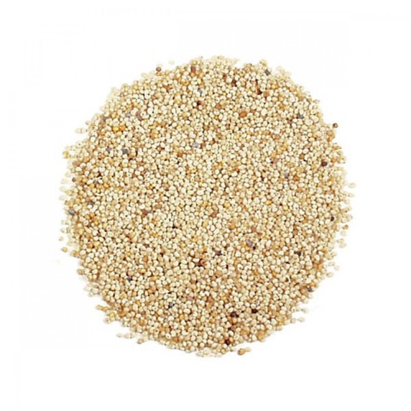 Poppy Seeds / Khus Khus - 500g
