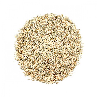 Poppy Seeds / Khus Khus - 1kg