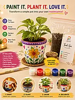 Pot Painting | DIY Paint Your Own Pot Growing Kit for Kids & Adults any other