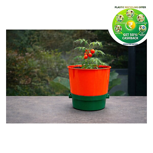Planter Pot Set with Tray & Drain Plug | 12 Inch Decorative Plastic Planter
