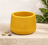 Mudkuda Clay Plant Pot |Medium |Garden Planter