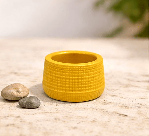 Mudkuda Clay Plant Pot | Small  |Garden Planter