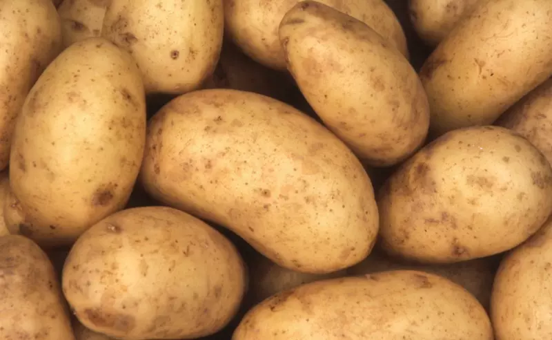 ALOO ( CHIPSONA) SUGAR FREE