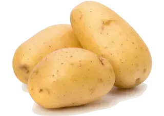 Potato உருளைக்கிழங்கு