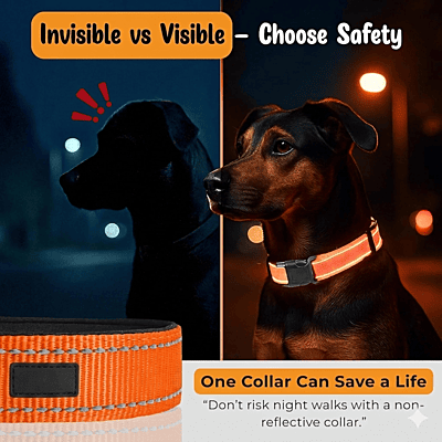 Reflective Nylon Dog Collar Soft Padded (Pack of 2) Reflective Nylon Dog Collar Soft Padded (Pack of 2)