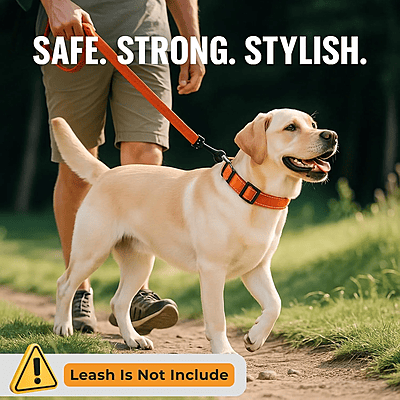 Reflective Nylon Dog Collar Soft Padded (Pack of 2) Reflective Nylon Dog Collar Soft Padded (Pack of 2)
