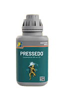 PRESSEDO by PI Industries