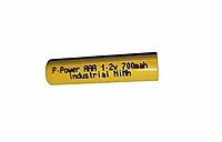 Ppower AAA 700mAh 1.2v Ni-MH Rechargeable Battery