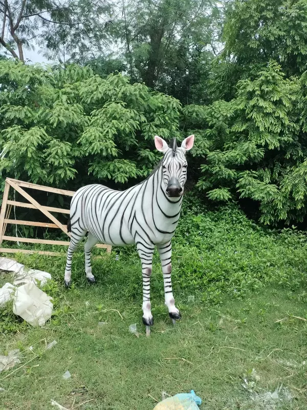 Premium FRP Zebra Statue for Home and Garden – YS Art Kolkata