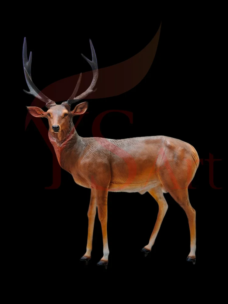 SAMBER DEER