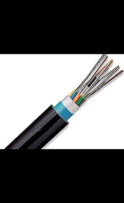 D-Link 12 Core SM Armoured Cable (NCB-FS10O-AUHD-12) - (Cent)