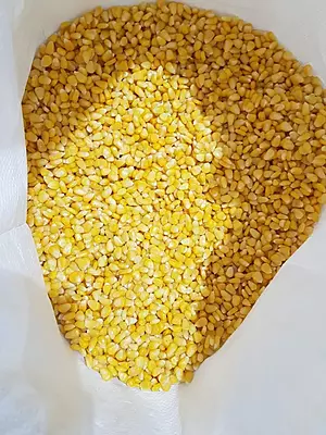 Frozen Sweet Corn Kernels G2 Bulk 30 Kg