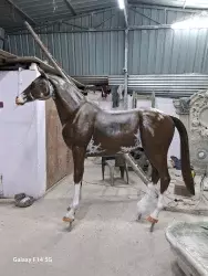 FRP HORSE