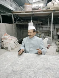 Silicon Wax Statue – YS Art Kolkata