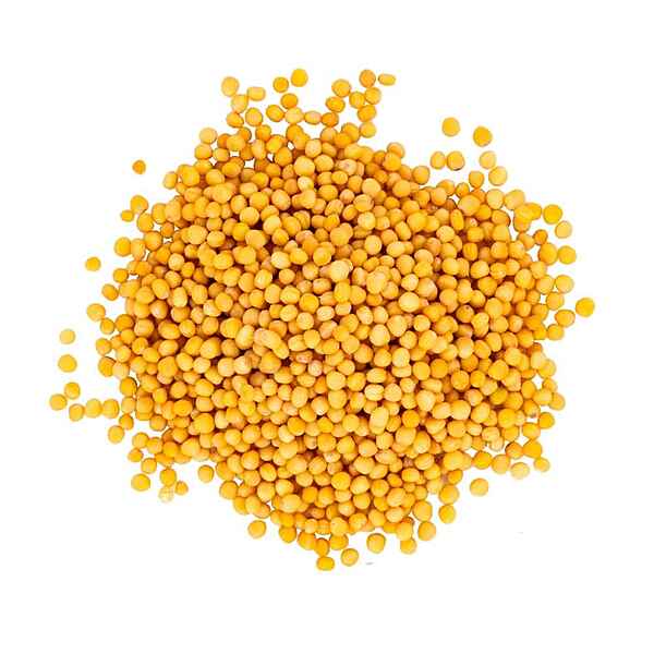 Yellow Mustard Seeds Small - 1kg