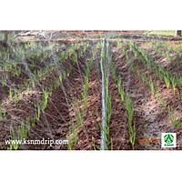 Rain Pipe - 350 / 40 mm / 100 meter