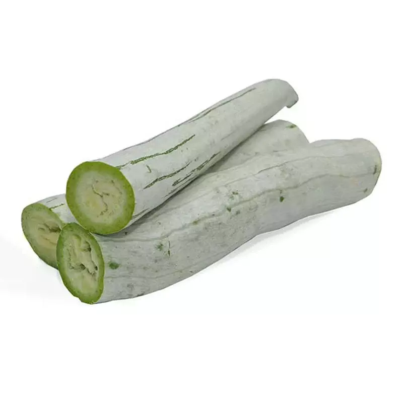 Pudalangai புதலங்காய்