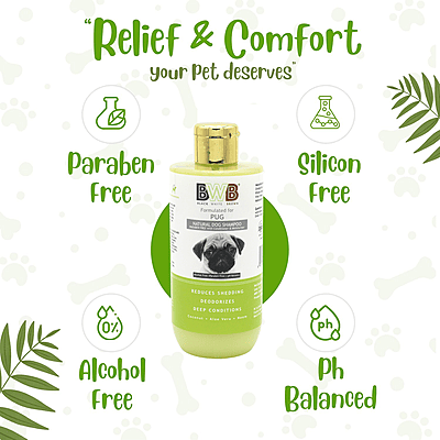 BWB PUG SHAMPOO