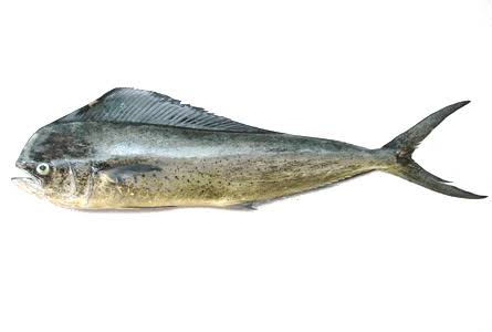 Pulli Modha /Neymeen /Mahi Mahi Whole -500gm