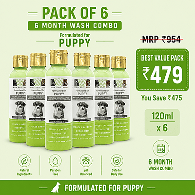 BWB PUPPY SHAMPOO-120ML BWB PUPPY SHAMPOO-120ML