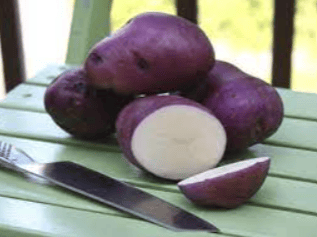 PURPLE ALOO (NEELKANTH)