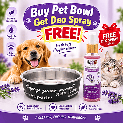 Premium Stainless Steel Pet Bowl- Medium -750ml-Black
