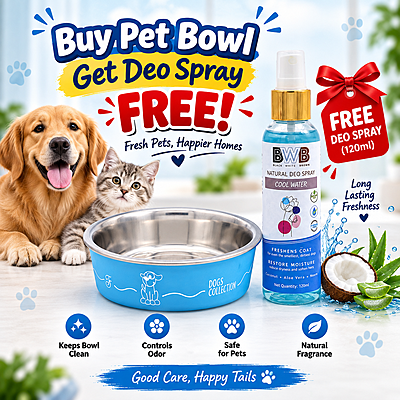Premium Bowl-450 ml-Small Premium Bowl-450 ml-Small