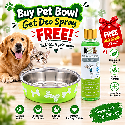 Premium Stainless Steel Pet Bowl- Medium -750ml-Neon Green