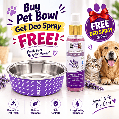 Premium Bowl - Purple (750 ml)- Medium