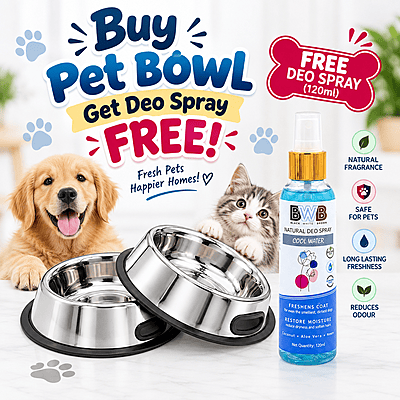Anti Skid stainless steel bowl  - Pack of 2