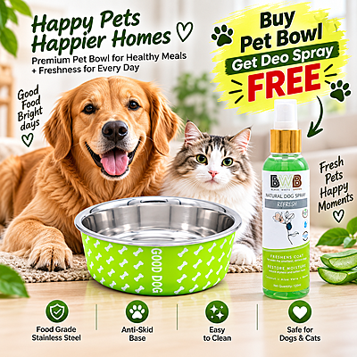Premium Bowl- Green (750 ml)- Medium