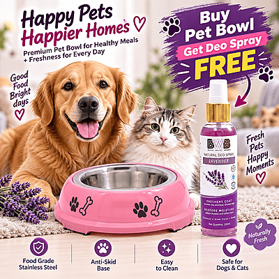 2-in-1 Detachable Stainless Steel Pet Bowl 2-in-1 Detachable Stainless Steel Pet Bowl