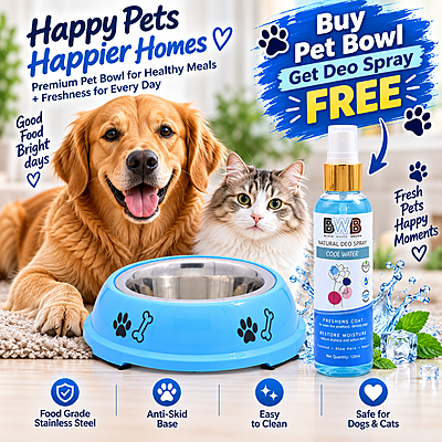 2-in-1 Detachable Stainless Steel Pet Bowl 2-in-1 Detachable Stainless Steel Pet Bowl
