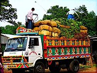 Harvest-to-Market Transport Services