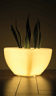 LED Quad - M