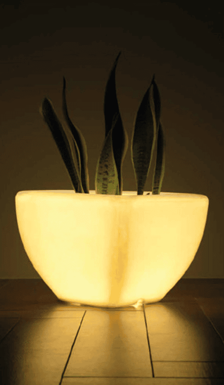 LED Quad - M