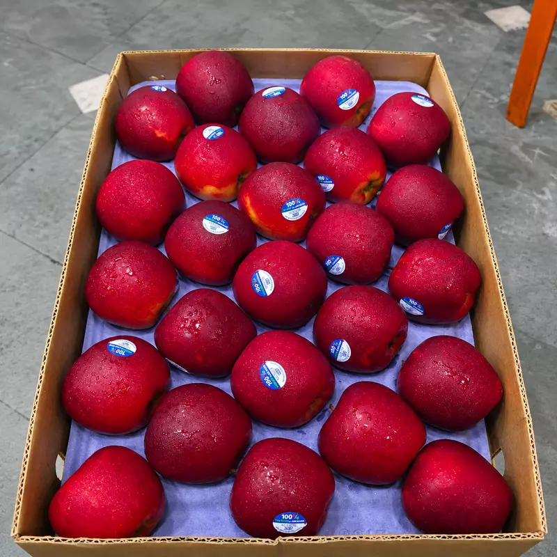 Fresh Queen Apple | 4 PC | 600-750gms