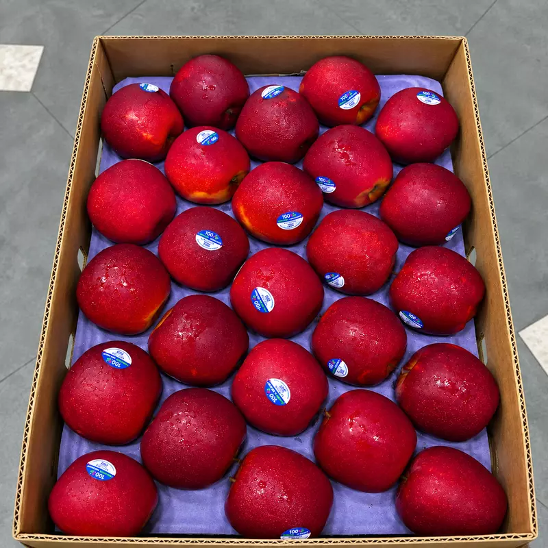 Fresh Queen Apple | 4 PC | 600-750gms