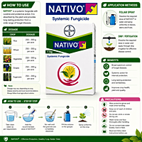 Bayer Nativo Fungicide | Vetrivel Agro Services