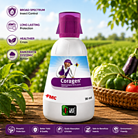 Coragen Insecticide | Vetrivel Agro Services