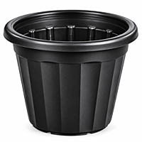 12 Inch Nursery Pot | ECSHA