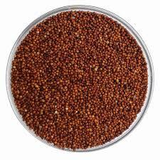 Ragi. (Millet)
