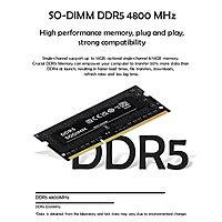 Intel N305 NUC